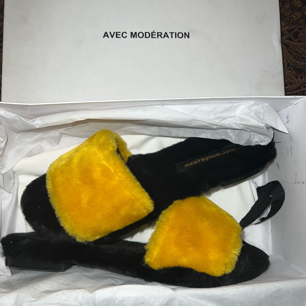 Avec moderation fur slides
